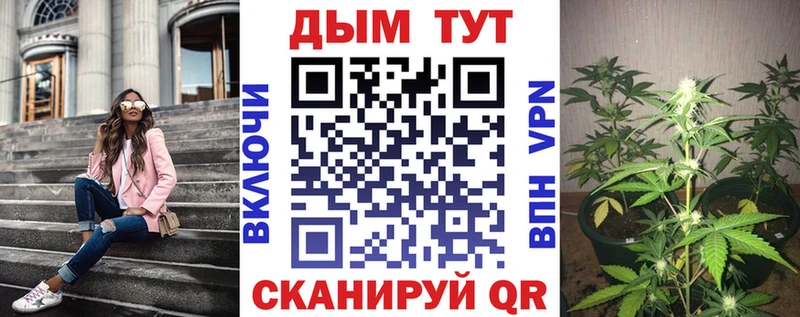 Бошки марихуана Amnesia  как найти наркотики  omg ссылки  Комсомольск 